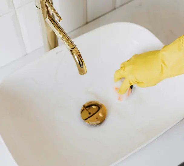 Professional Sofa & Upholstery Shampooing Services