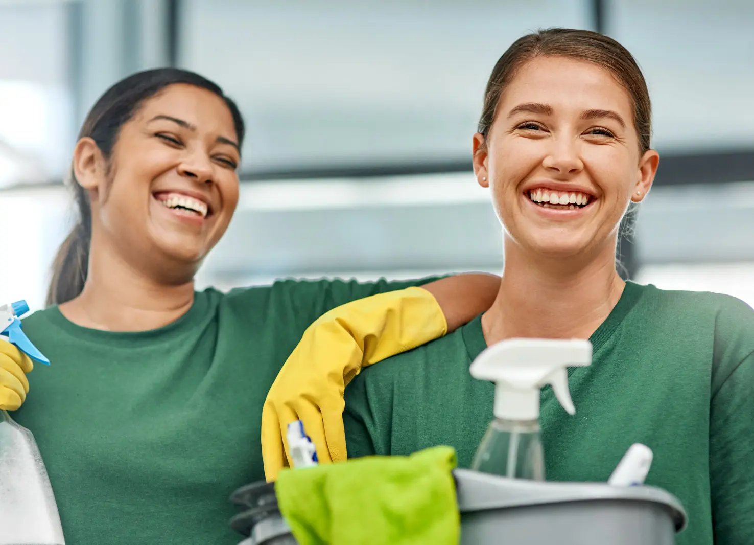 Hygienic Mattress Deep Cleaning & Dust Mite Sanitization
